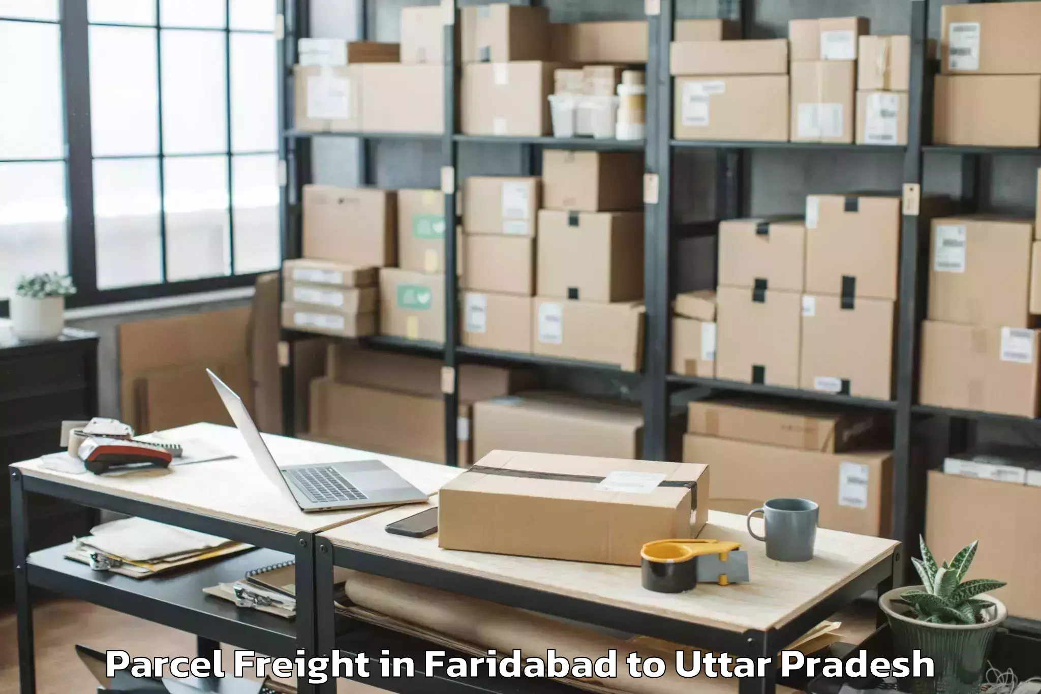 Reliable Faridabad to Fun Republic Mall Lucknow Parcel Freight